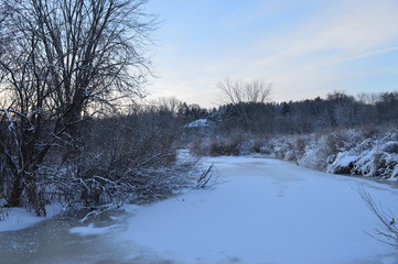 Winter day in the wetland