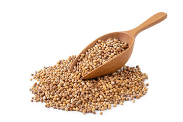 coriander seed in wooden scoop isolated on white background