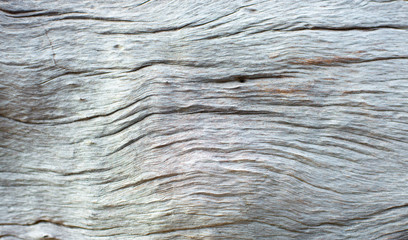 Old wood that naturally traces surface
