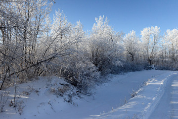 Hoar frost