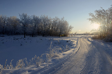 Canadian winter