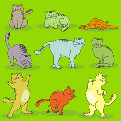Set of different cats in different poses on green background. Pets concept cartoon character design. Vector illustration.