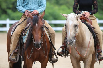 konie w stylu western