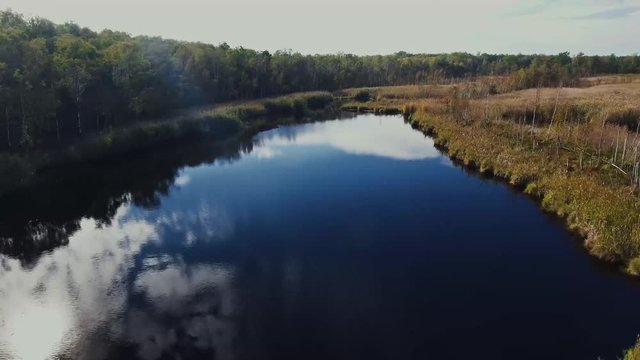 Forest Swamp