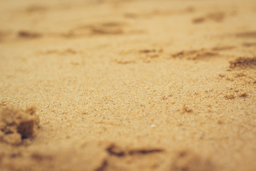Fototapeta na wymiar soft software, beach sand, focus in the center of the photo, texture