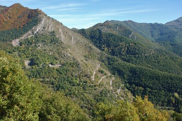 Naklejka premium view of mountains in autumn with curvy road