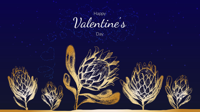 Stock vector illustration Saint valentine's day cards with gold protea king flowers on blue background. Spring  botanical template for web site banner or greeting card love day.