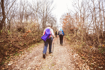 Obraz premium active people trekking in the forest