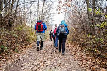 active people trekking in the forest