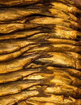 Overhead view of fish