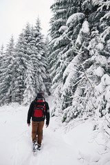 Couple hiking along a snow covered path in the forest