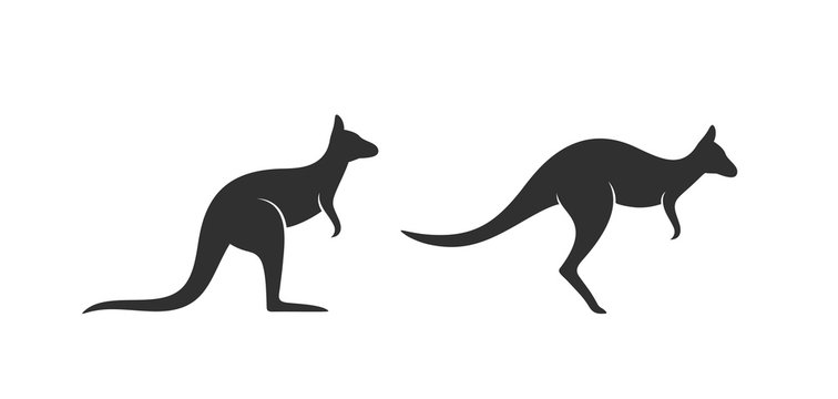 Kangaroo Logo 8,610 – | Images Stock and Stock Adobe Browse Vectors, Video Photos