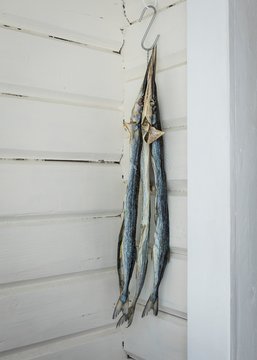 Swordfish drying on hook outside house