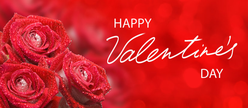 happy valentines day with beautiful festive flowers on colorful background