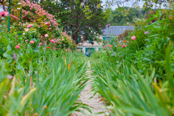 Giverny. France. Claude Monet's garden. flowers in Monet's garden. Walk through the Monet Museum