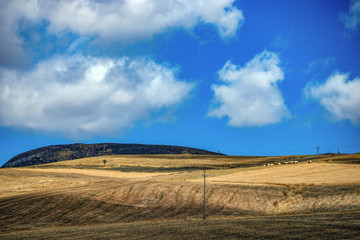 field and blue sky, countryside, small town, village, sicily, italy, italien,summer, vacation