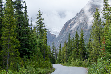 Winding road to the Mount Edith Cavell and the Cavell Lake near Jasper, Canada