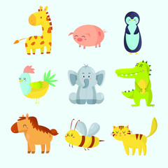 animals illustration pack. flat design illustration