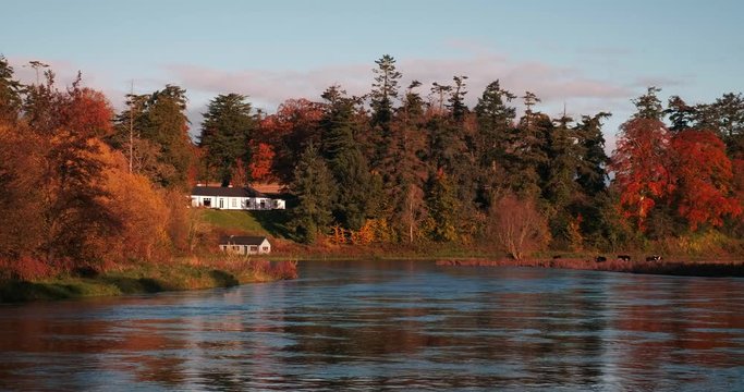 Colorful 4K video of Boyne valley, river and surroundings in bright autumn colors, Co. Meath, Ireland