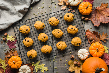 Overhead view of pumpkin chocolate chip cookies on a cooling rack.