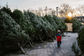 A boy walks by a row of Christmas trees.