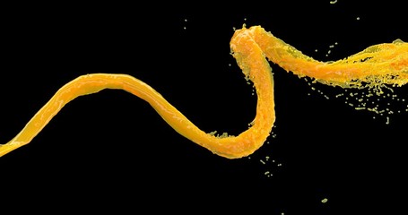 Orange juice. Transparent orange liquid splash. Orange paint splash. Food concept design. Isolated illustration. Power concept. Mango juice. Juice frame. 4k - Powered by Adobe