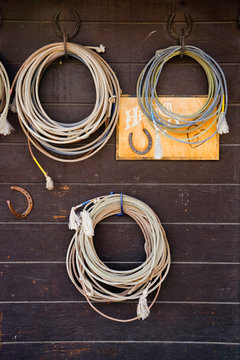 Rope and lassos hang on horse shoes mounted on a wood wall at a ranch