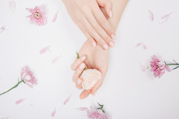 Obraz na płótnie Canvas Beautiful stylish trendy female pink manicure with flower on background, top view. Concept beauty