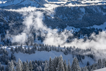 Winterlandscape in the Allgaeu Mountains, view from Hochgrat summit over a sea of fog to the Bregenz Wald mountains, Vorarlberg, Austria, landscape photography