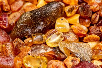 amazing color picked at Lithuanian sea coast amber stone(fossilized tree resin) from Baltic sea