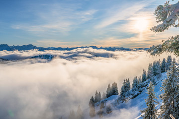 Winterlandscape in the Allgaeu Mountains, view from Hochgrat summit over a sea of fog to the Bregenz Wald mountains, Vorarlberg, Austria, landscape photography