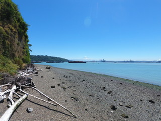 Puget Sound Beach