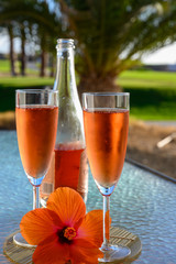 Two glasses of rose bubbles champagne or cava wine served outside on paradise island with palms and green grass