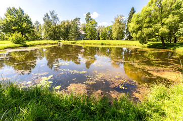 Fototapeta premium Summer landscape with small pond