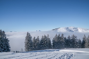 Fototapeta premium Mount Rigi