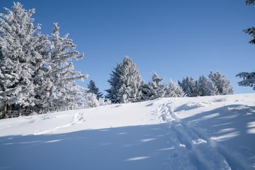 Obraz premium Mount Rigi