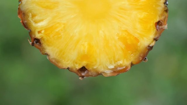 Closeup of a slice of juicy pineapple. Drops of juice flow down and drip from ripe fruit on a natural green background. Tasty healthy food concept. 4K UHD