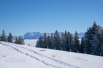 Mount Rigi