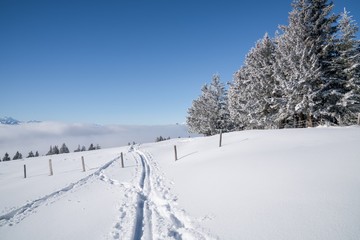 Mount Rigi