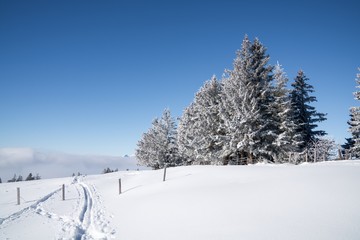 Mount Rigi