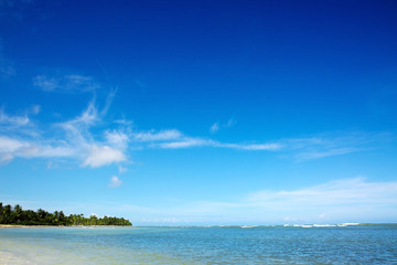 Coconut Palm trees on caribbean sandy beach.