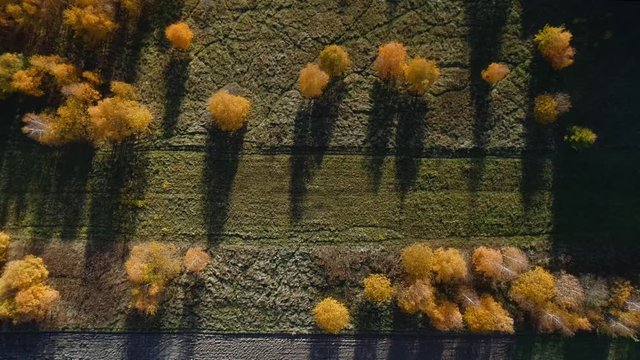 Trees from above at sunset. Beautiful countryside in Poland called Polish Jurassic Highland also known as Jura Krakowsko-Czestochowska. Aerial, drone footage.