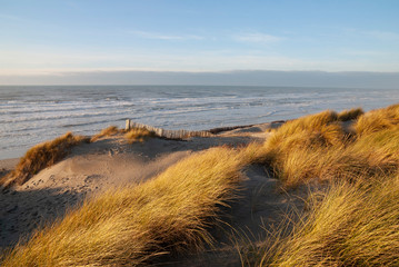 France. Picardie. Somme.  Dunes de sable de la plage de  Fort Mahon sous le soleil. Sand dunes of...