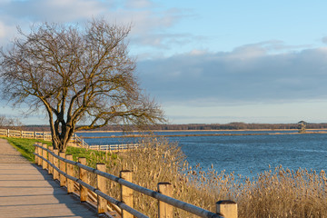 Wooden footbridge along the lake.