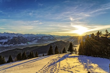 SUISSE-VIEW Photography