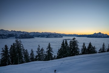 SUISSE-VIEW Photography