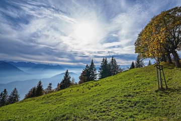 SUISSE-VIEW Photography