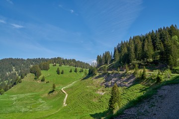 SUISSE-VIEW Photography