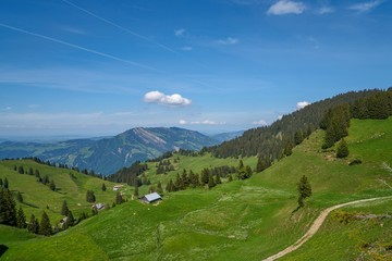 SUISSE-VIEW Photography