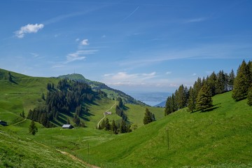 SUISSE-VIEW Photography